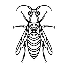 Wasp black outline isolated, stock vector illustration for design and decoration, logo, prints.