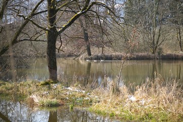 Am Moorsee in der Eulenau