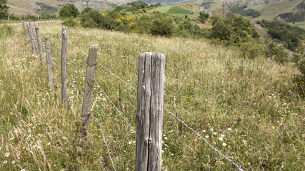 Fototapeta premium steccato