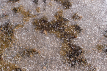Ice with snow for backdrop. Snowflakes and dark abstract spots.