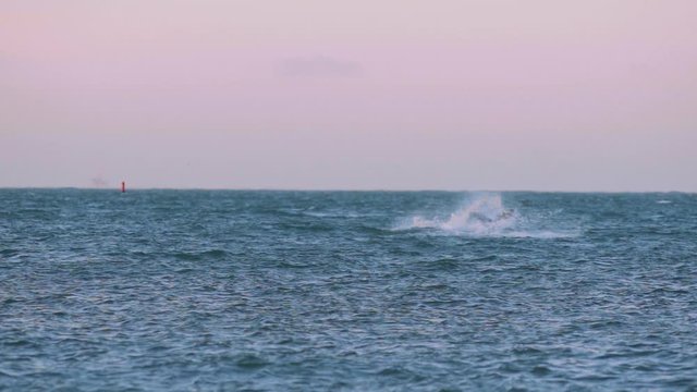 Isolated kitesurfer falling while surfing on open sea.