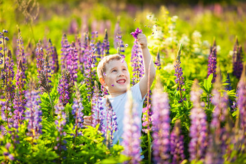 Portrait of a smiling child in a blooming lupine field at sunset. A Sunny evening in late spring....