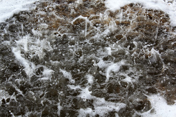 Fototapeta na wymiar Spring drops in a puddle.