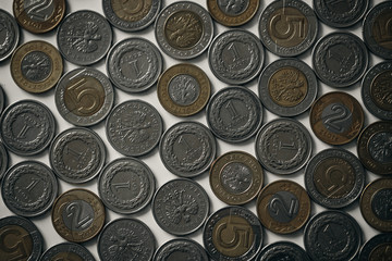 Polish currency coins close up with blurred background