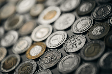 Polish currency coins close up with blurred background