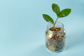 coins in a glass jar. money growth investment concept. Saving money and caring for the good distressed people of the planet. on blue background