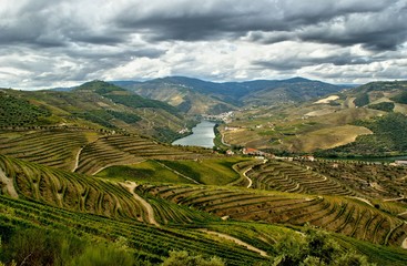 Douro Valley, vineyards and landscape near Regua, Portugal