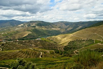 Fototapeta na wymiar Douro Valley, vineyards and landscape near Regua, Portugal