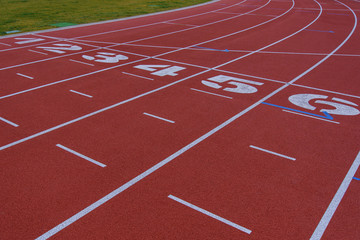 Fototapeta premium tartanbahn sport laufen gesundheit