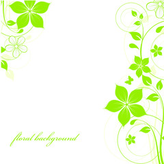 abstract floral background with green leaves