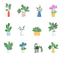 Houseplants flat color vector objects set. Decorative homeplants 2D isolated cartoon illustrations on white background. Different potted plants in vases, beautiful indoor decorations