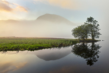 Group Of Trees By River On A Beautiful Misty Morning With Reflections. Lake District, UK.