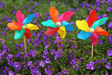 colorful pinwheel toys between blue flowers