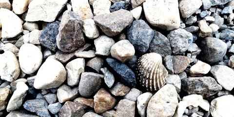 pebbles on the beach