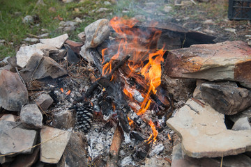 campfire in the forest during the day
