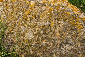 stone covered with yellow moss, texture of moss and stone