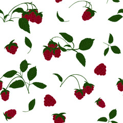Seamless pattern. Red raspberry with leaves on a white background. Red raspberries.