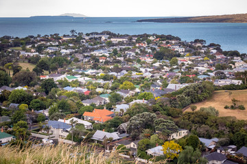 Auckland city view