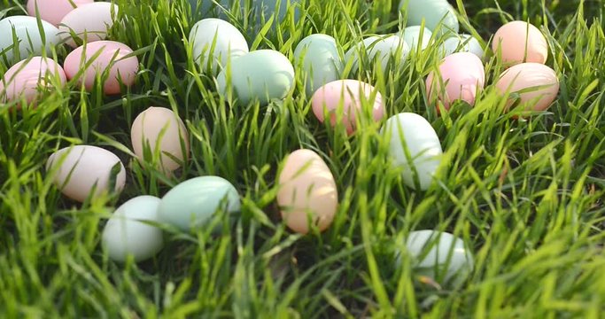 Easter bunny on spring green grass. Cute rabbit. Easter egg hunt with pet bunny. Happy Easter greeting card with copyspace. Easter greeting card template. Rabbit and eggs on grass.