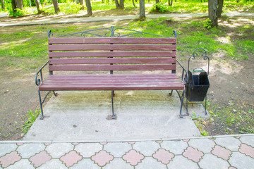 wooden bench in the summer city park