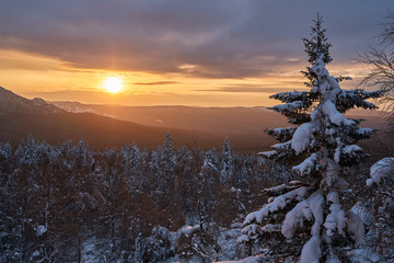 Winter forest with snow-covered fir trees high in the mountains. Dawn with bright colors on the horizon far away in the mountains. Golden clouds with the first rays of the sun.