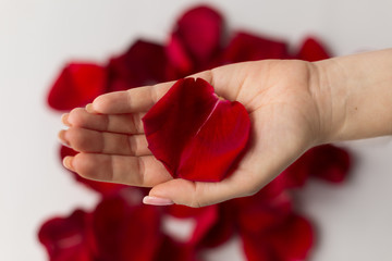 red petal in a woman's hand