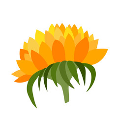 Summer colorful flower isolated on white background. Orange sunflower. Cartoon style. Template icon, design for fabric, textile, posters, card, paper, banner. Flat vector illustration.