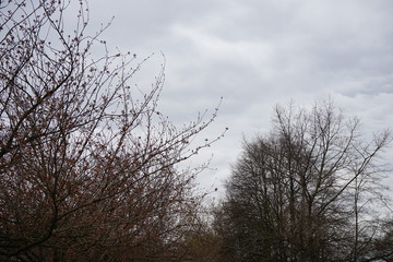 Himmel über Berlin am Mauerweg (Lohmühlenbrücke)