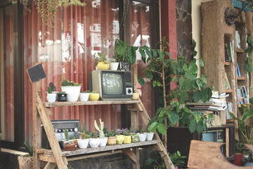 Retro television on wooden shelf with some succulent and decorative plants