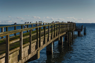 Fototapeta premium Rügen Ostsee blau Meer Strand Küste