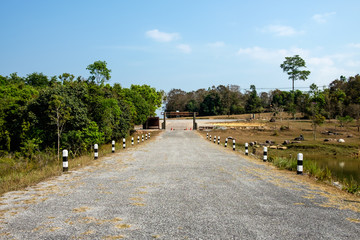 A driving road with no one inside the national park