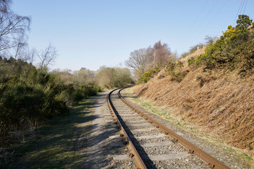 Abandoned train depot with various trains and carriages in different states of decay.