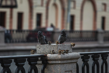 Saint-petersburg, Russia - 31 March 2020: Empty streets in the centre of the city on 1st day of self isolation