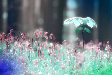 Surreal colors