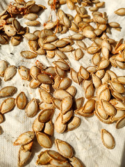 pumpkin seeds are dried in the sun