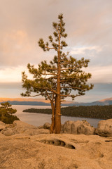 Fototapeta na wymiar Sunset on a tree growing from the rock at Emerald Bay State Park Lookout in Lake Tahoe