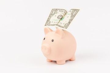 Pink piggy bank whith dollars, isolated on white background. Concept of savings