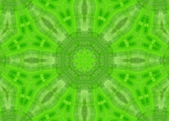 Bright green soft abstract pattern