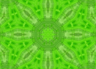 Bright green soft abstract pattern