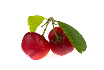  Juicy red cherry isolated on the white background.