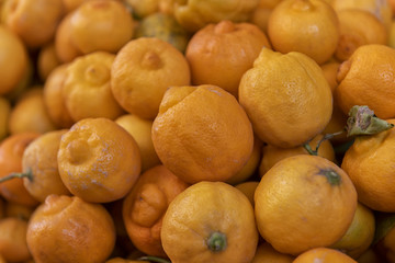 Fresh organic Moroccan lemon at a farmers market.