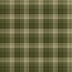 Seamless pattern in fascinating discreet swamp green and beige colors for plaid, fabric, textile, clothes, tablecloth and other things. Vector image.