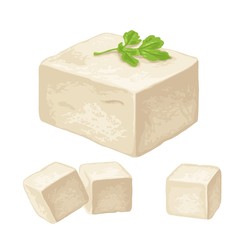 Tofu. Vector color flat illustration isolated on white background.