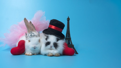 two cute white rabbits, one wearing top hat and the other wearing diamond tiara and pink tutu with...