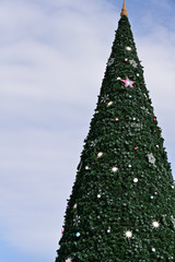 christmas tree on blue sky background