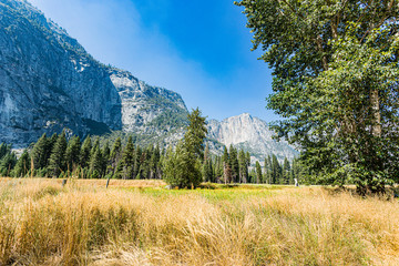 A beautiful View in Yosemite National Park