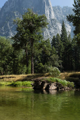 Fototapeta premium A beautiful View in Yosemite National Park