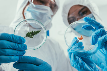 low angle view of biochemists holding petri dishes with green leaf and biomaterial