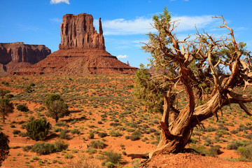 Utah/Arizona / USA - August 10, 2015: The Monument Valley Navajo Tribal Reservation landscape, Utah/Arizona, USA