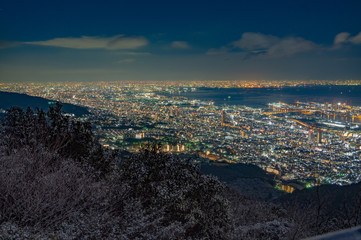 掬星台からの夜景